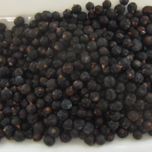 Juniper