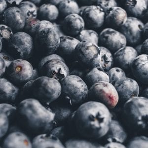 Bilberry