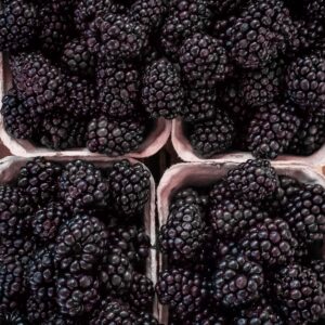 Blackberry