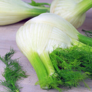 Fennel