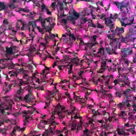 Rose Petals - a unique Gin Botanical © Jim Long Starspice Ingredients