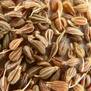 Aniseed