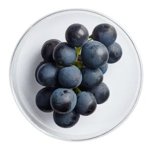 Shiraz Grape