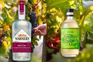 Collaboration between Warner's and Four Pillars gins