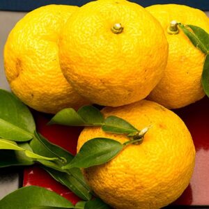 Yuzu