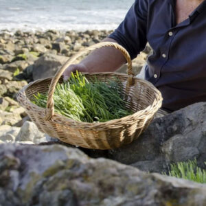 Rock Samphire