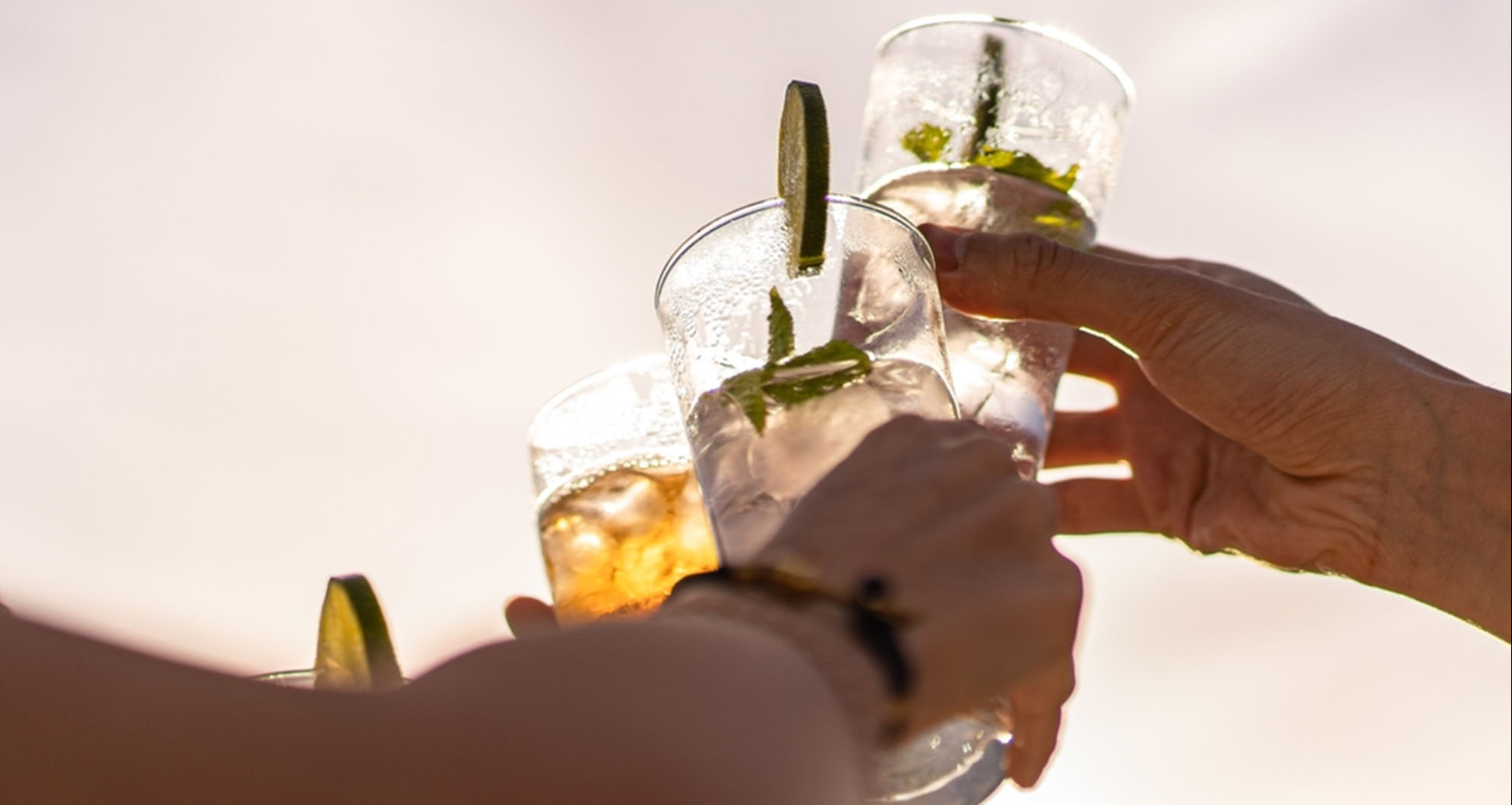 Our Research Reveals Gin Consumers Expect More Than Ever on Sustainability
