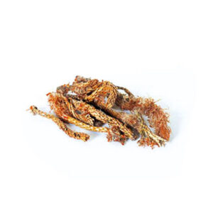 Pine buds